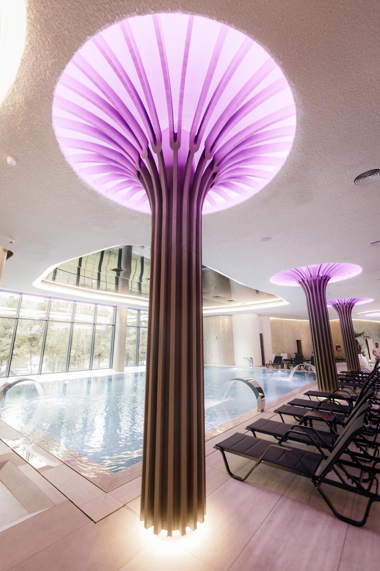 Hotel Ivascu Majszin Kültér fotó